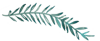 fern